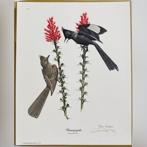 Ray Harm Pencil Signed Phainopepla Print 12x15 Vintage 1974 Nature Art